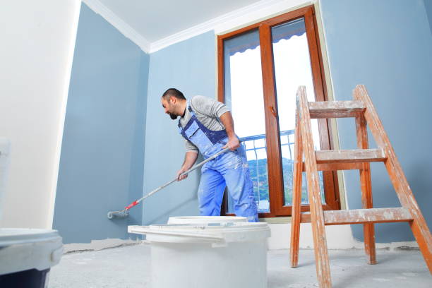 Best Black Mold Removal  in Ingalls Park, IL