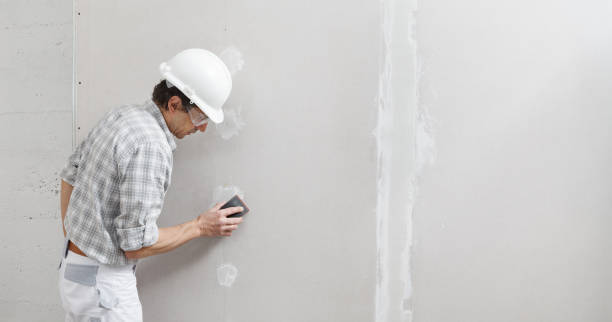 Best Air Quality Testing for Mold Spores  in Ingalls Park, IL