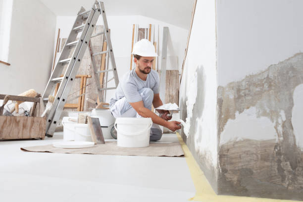 Best HVAC Mold Inspection and Cleaning  in Ingalls Park, IL