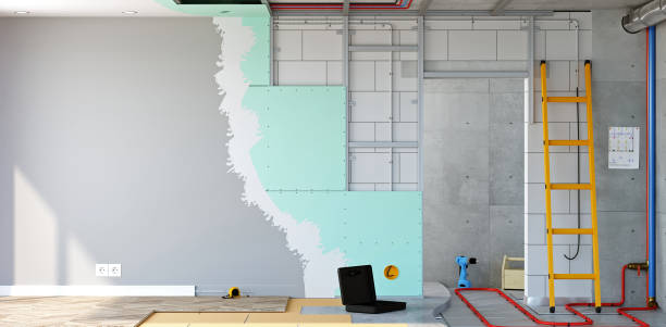 Best Commercial Mold Inspection  in Ingalls Park, IL