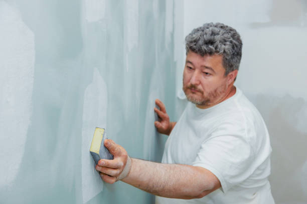 Best Mold Prevention Services  in Ingalls Park, IL