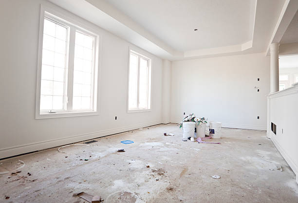 Best Basement Mold Removal  in Ingalls Park, IL