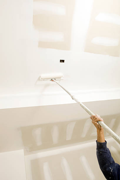 Best Emergency Mold Remediation  in Ingalls Park, IL